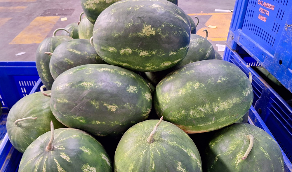 Anguria Origine Italia prezzo 1,50 euro al chilo
